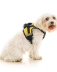 Soft Mesh X Step In Harness