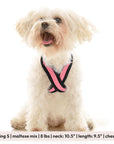 Comfort X Dual Snap Mesh Harness