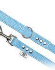 Buddy Belt All Leather Leash