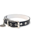 Buddy Belt All Leather Collar