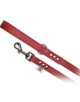Buddy Belt All Leather Leash