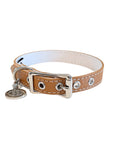 Buddy Belt All Leather Collar