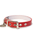 Buddy Belt All Leather Collar