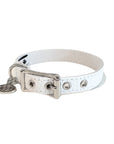 Buddy Belt All Leather Collar