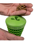 Natural Rubber Evergreen Reward Dog Toy
