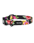 Dark Floral Dog Collar