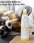 Honeysuckle Jasmine Dry Skin Shampoo & Conditioner, 13.5 oz.