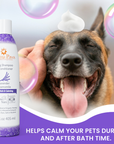 Lavender Chamomile Calming Shampoo & Conditioner, 13.5 oz.