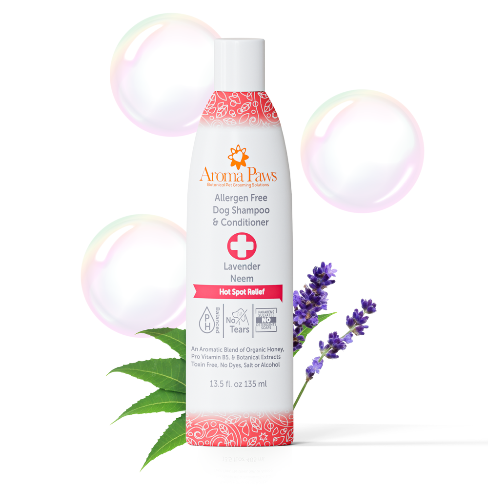 Dog hot spot shampoo hot sale