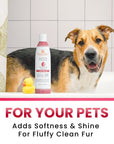 Pomegranate Cucumber Fluffy Shampoo & Conditioner, 13.5 oz.