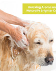 Lemongrass Vanilla Bean Brightening Shampoo & Conditioner, 13.5 oz.