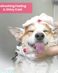 Pomegranate Cucumber Fluffy Shampoo & Conditioner, 13.5 oz.