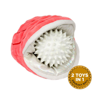Oyster with Pearl Squeaker Dog Toy