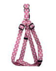 Harness