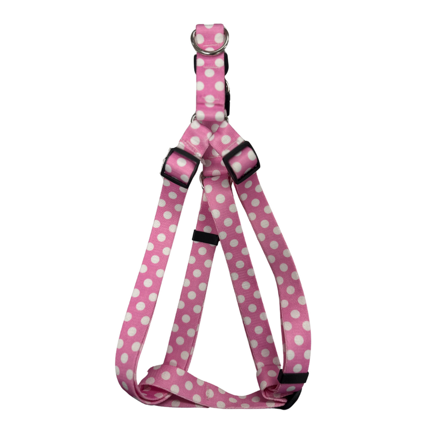 Harness