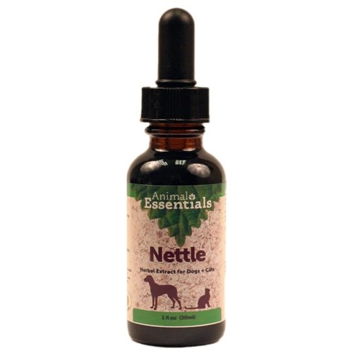 Nettle Herbal Extract, 1oz