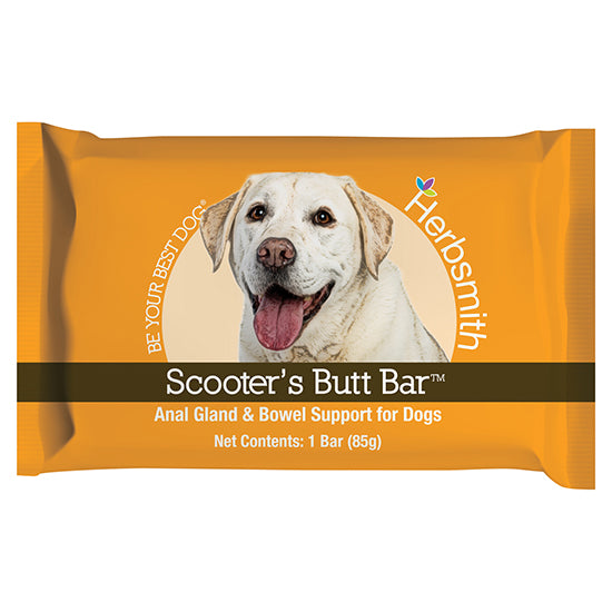 Scooter's Butt Bars