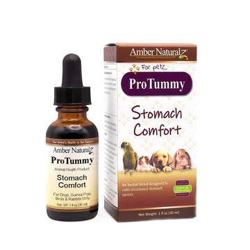 ProTummy- Stomach Comfort, 1oz.