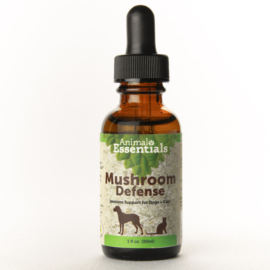 Mushroom Defense, 1oz