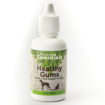 Healthy Gums- Mouth + Gums Support for Dogs, 1 oz