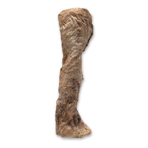 Freeze-Dried Beef Esophagus