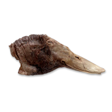 Freeze-Dried Duck Head