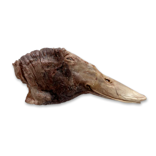 Freeze-Dried Duck Head