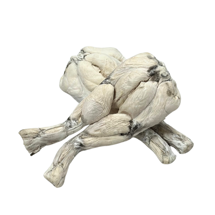 Freeze-Dried Frog Legs
