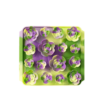 Foraging Mat- Succulent Garden