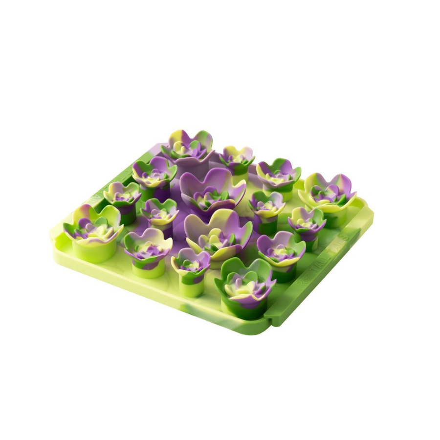 Foraging Mat- Succulent Garden