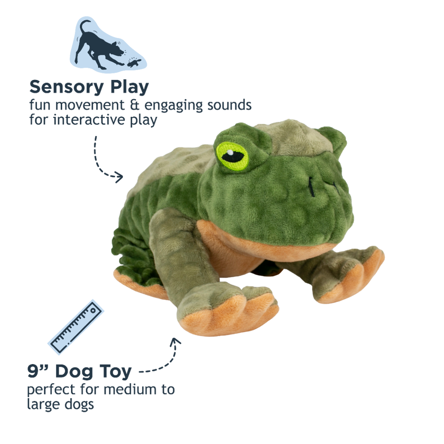 Animated Frog Dog Toy