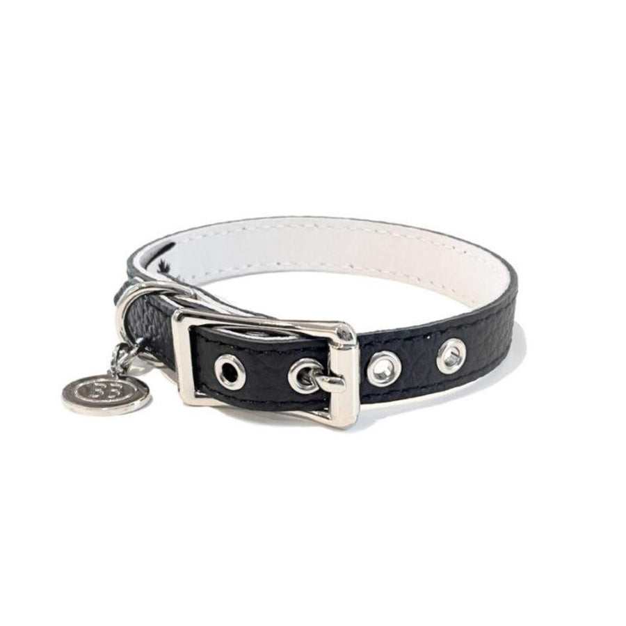 Buddy Belt All Leather Collar