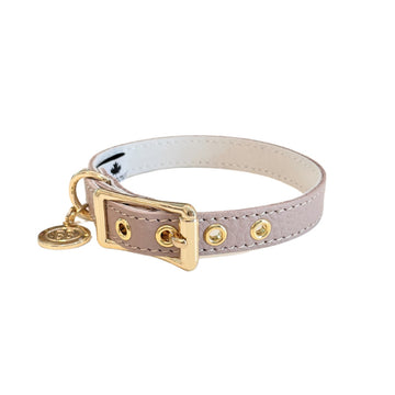 Buddy Belt All Leather Collar