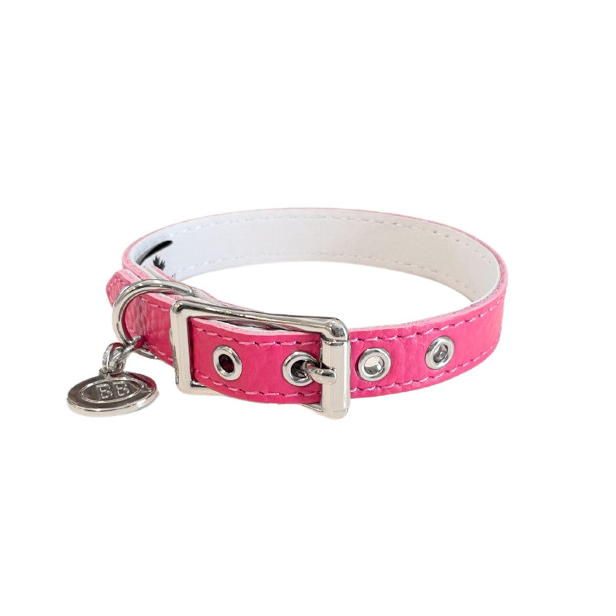Buddy Belt All Leather Collar