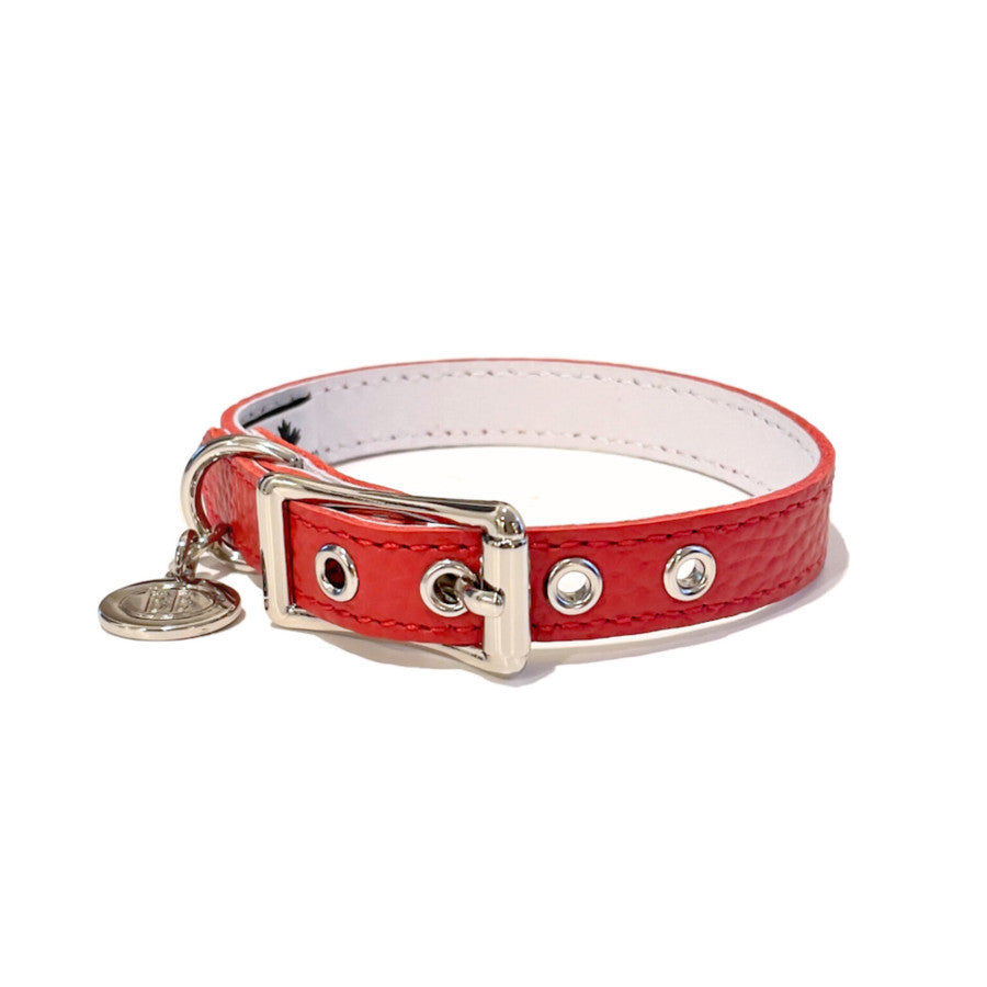 Buddy Belt All Leather Collar