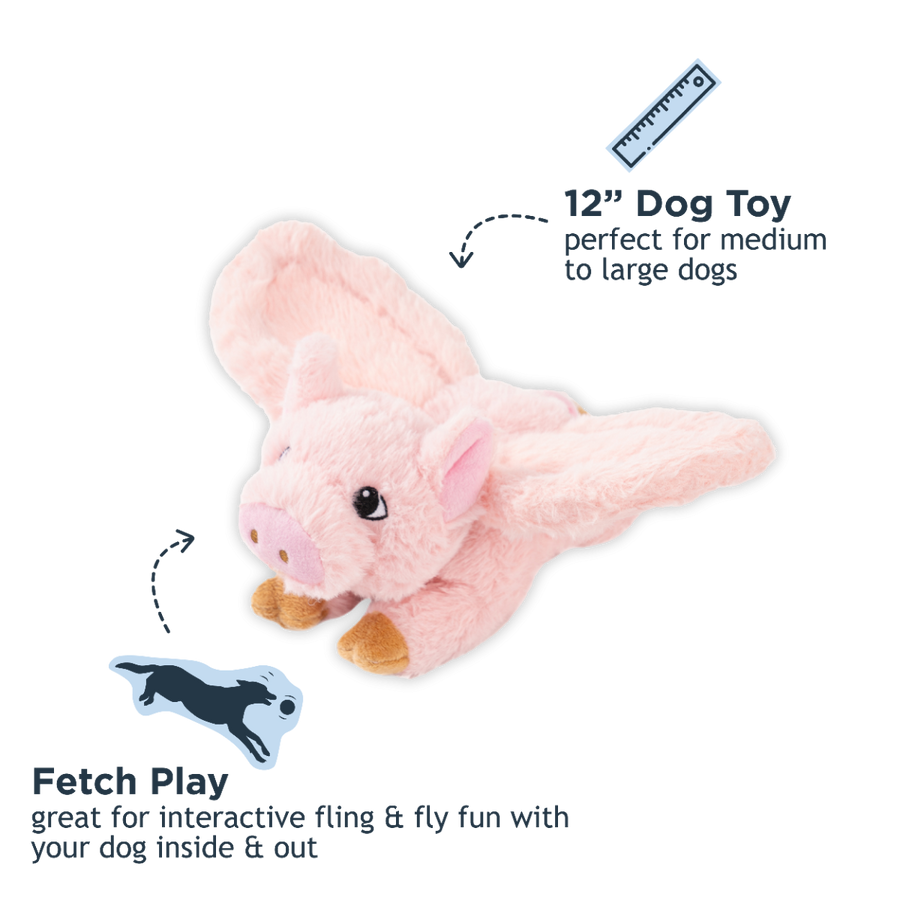 Fling and Fetch Dog Toy