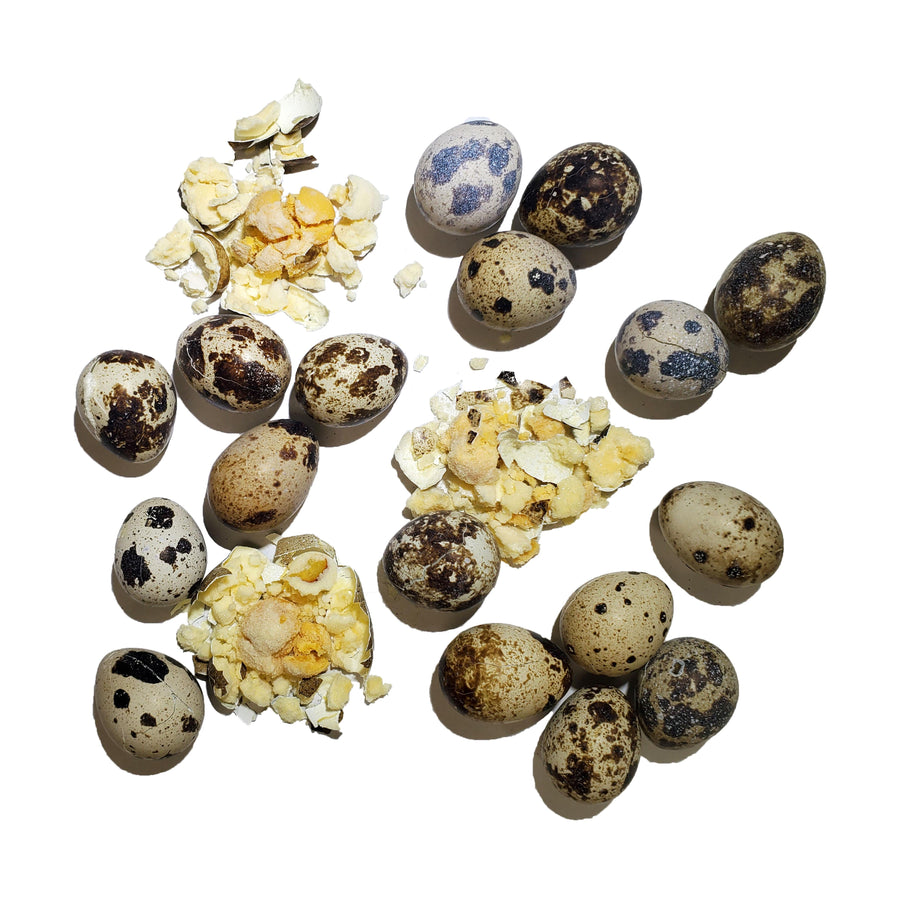 Freeze-Dried Quail Egg Topper, 2oz.