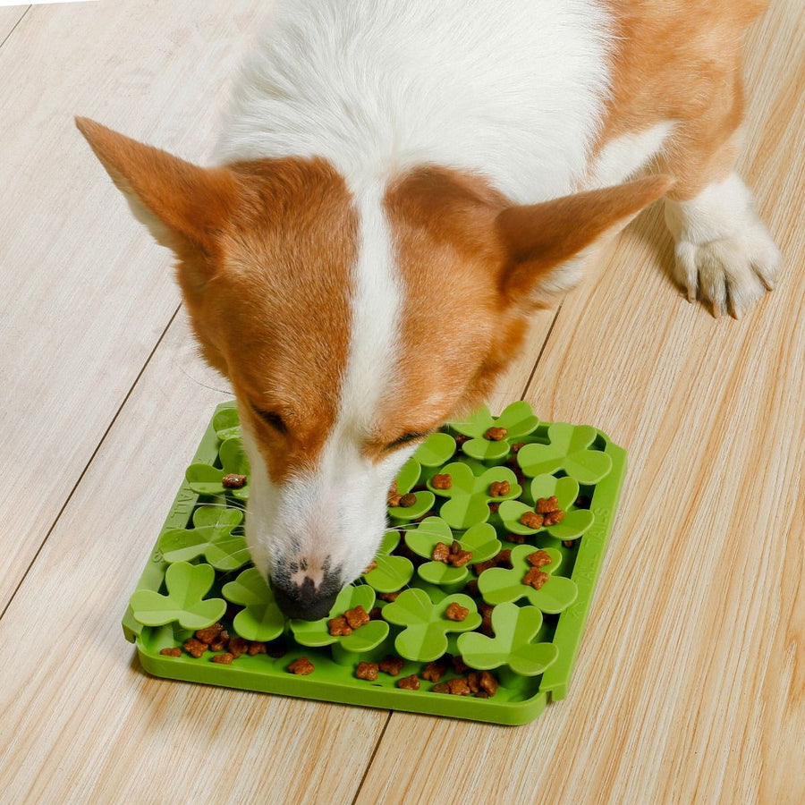 Foraging Mat- Spring Clover