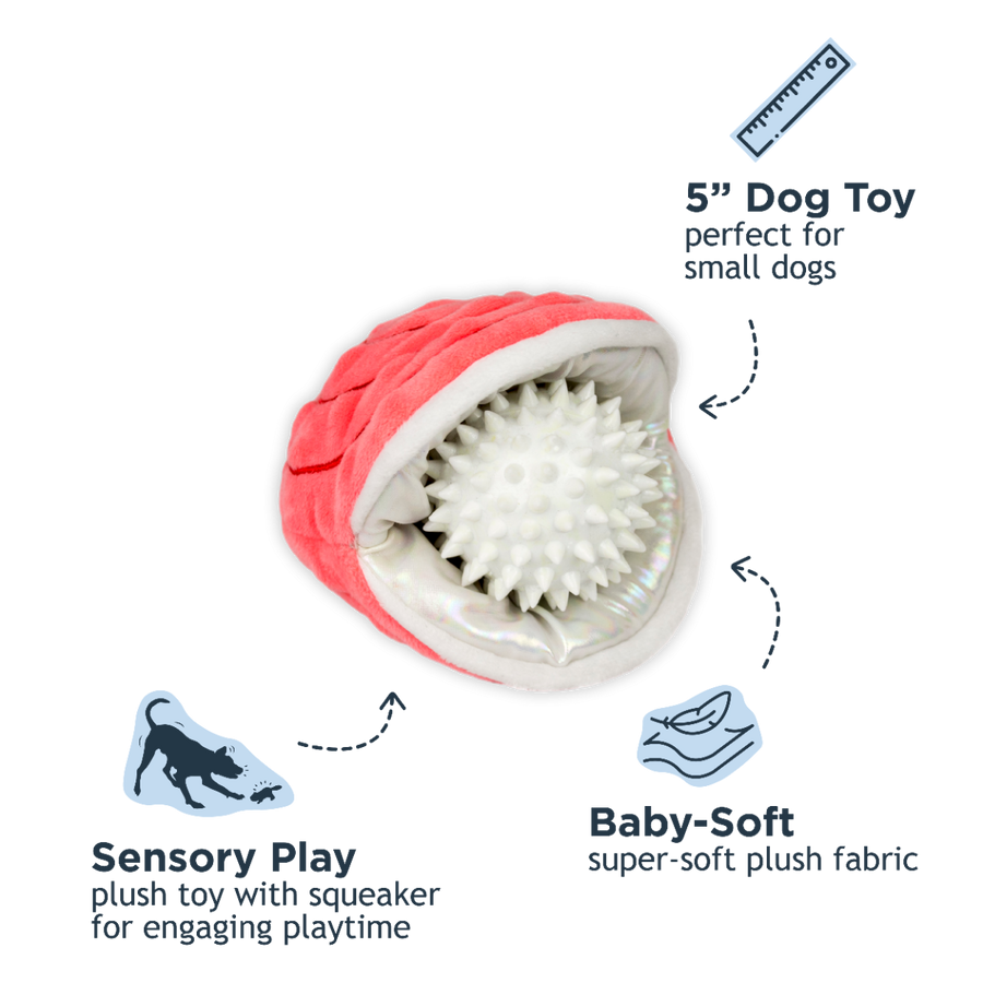 Oyster with Pearl Squeaker Dog Toy