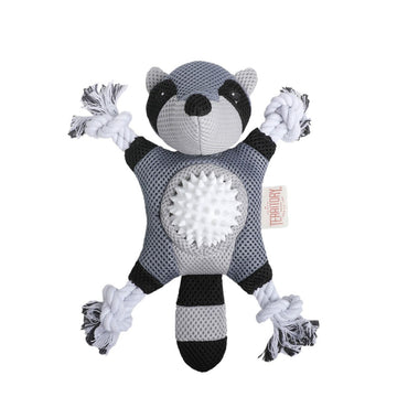 2-In-1 Dog Toy, Raccoon
