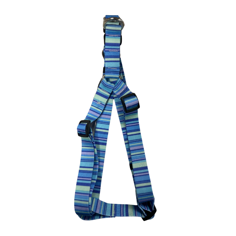 Harness