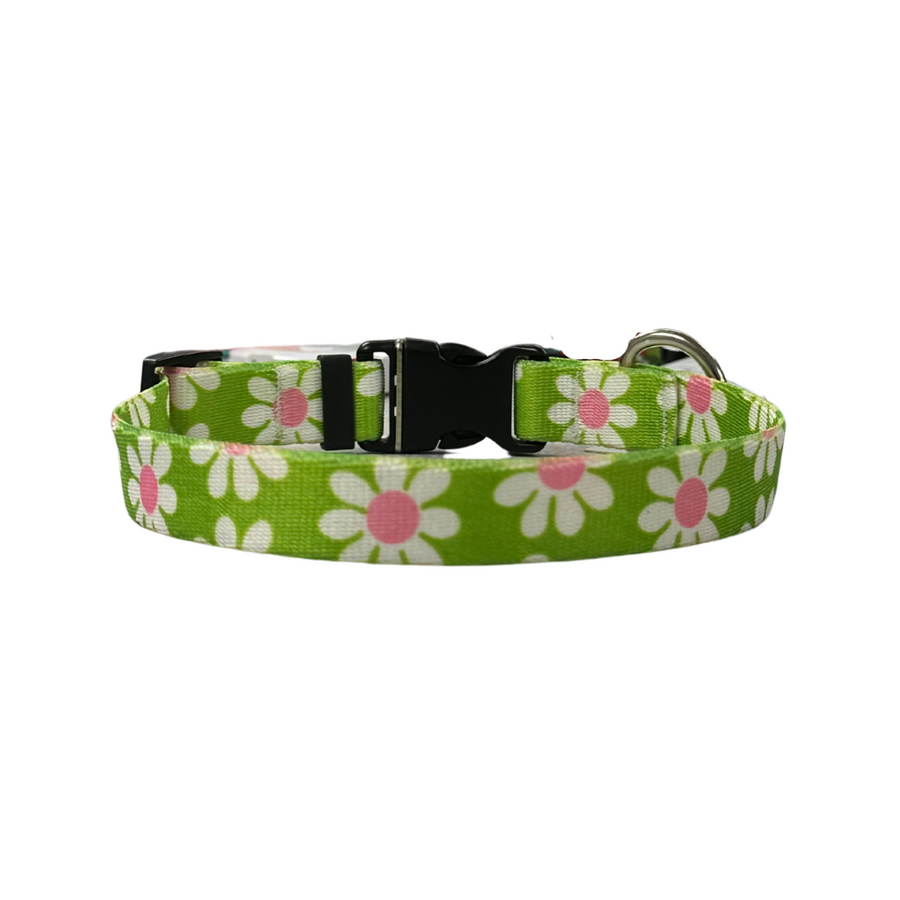 Daisy Floral Soft Collar 10"-14"