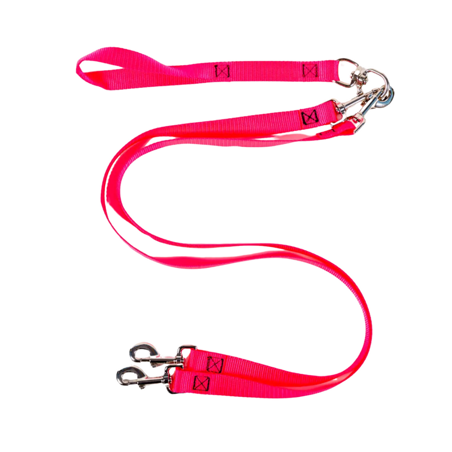 Double Nylon Leash