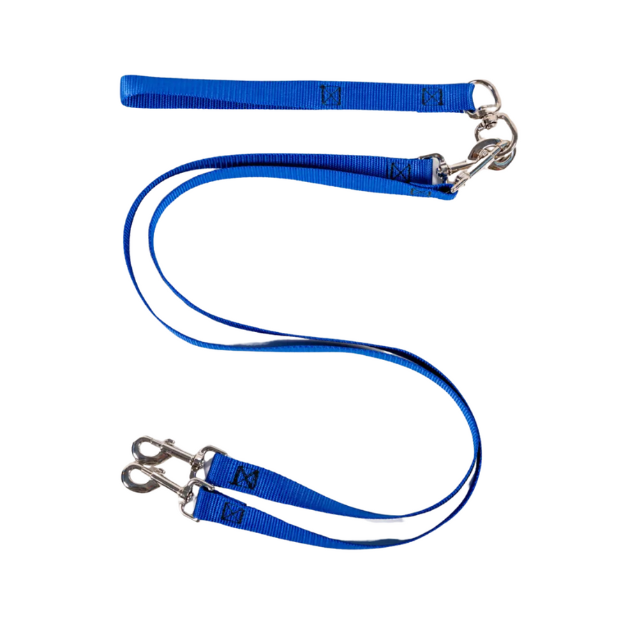 Double Nylon Leash