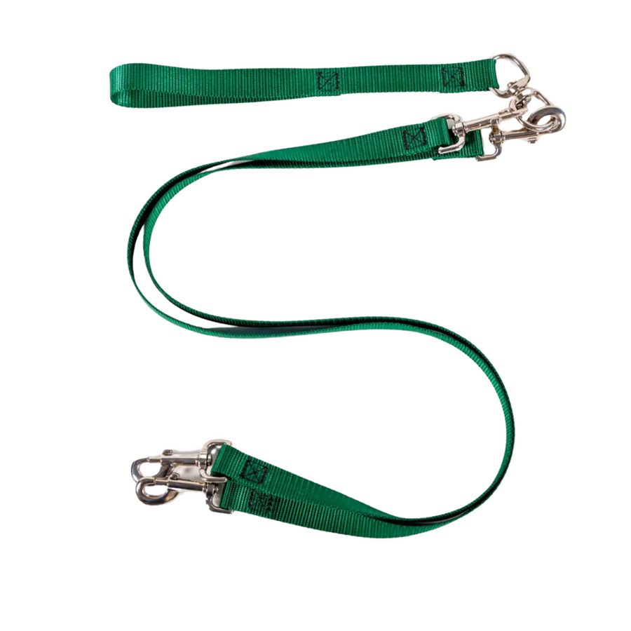 Double Nylon Leash
