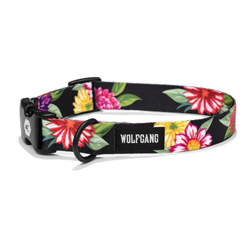 Dark Floral Dog Collar