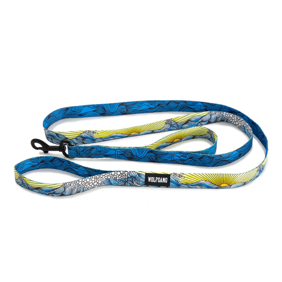 Dawnpatrol React Dual- Handle Dog Leash