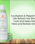Eucalyptus Peppermint Energizing Shampoo & Conditioner, 13.5 oz.
